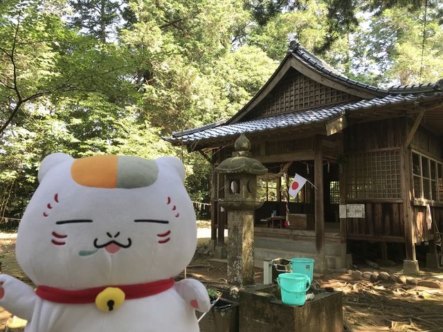 Amamiya Shrine with Nyanko-sensei
