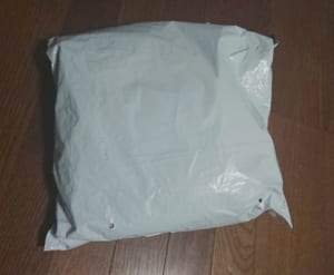 Package ordered and received at SHEIN