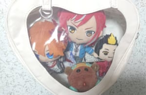 Clear Heart Design Novelty Bag (With stuffed toyls)