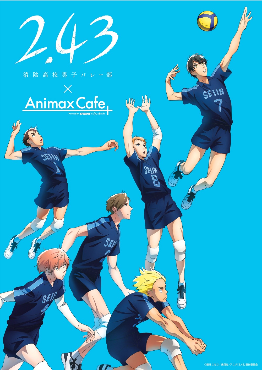 TVアニメ「2.43　清陰高校男子バレー部」×「Animax Cafe+」