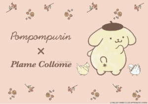 Plame Collome×ポムポムプリン