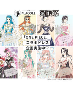 「ONE PIECE(ワンピース)」×「PLACOLE(プラコレ)」ウェディングドレス