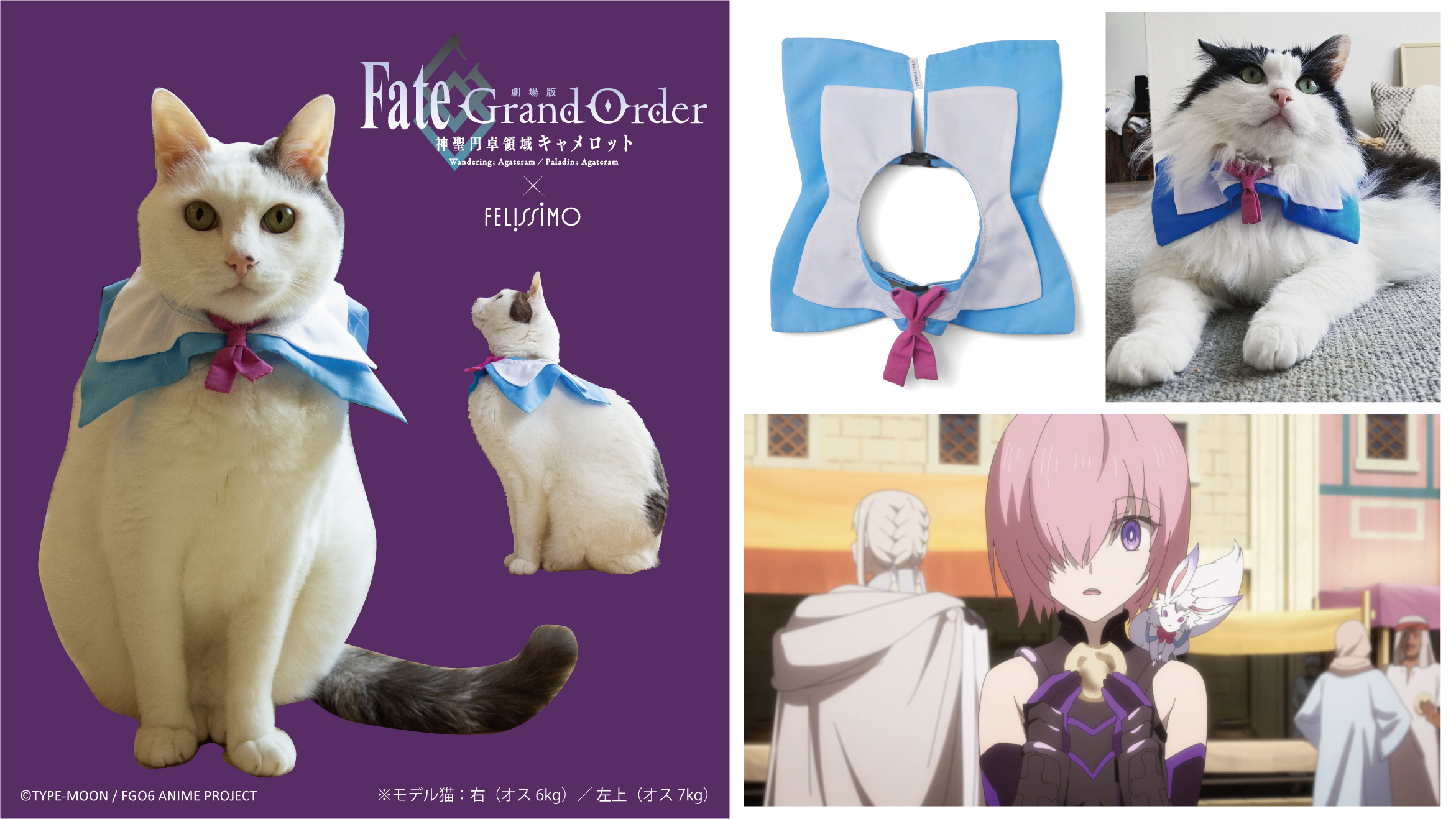 劇場版 Fate/Grand Order -神聖円卓領域キャメロット-×フェリシモ　フォウ風なりきり猫用首輪