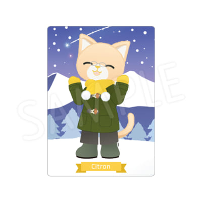 PRINCE CAT カード（全18種）
