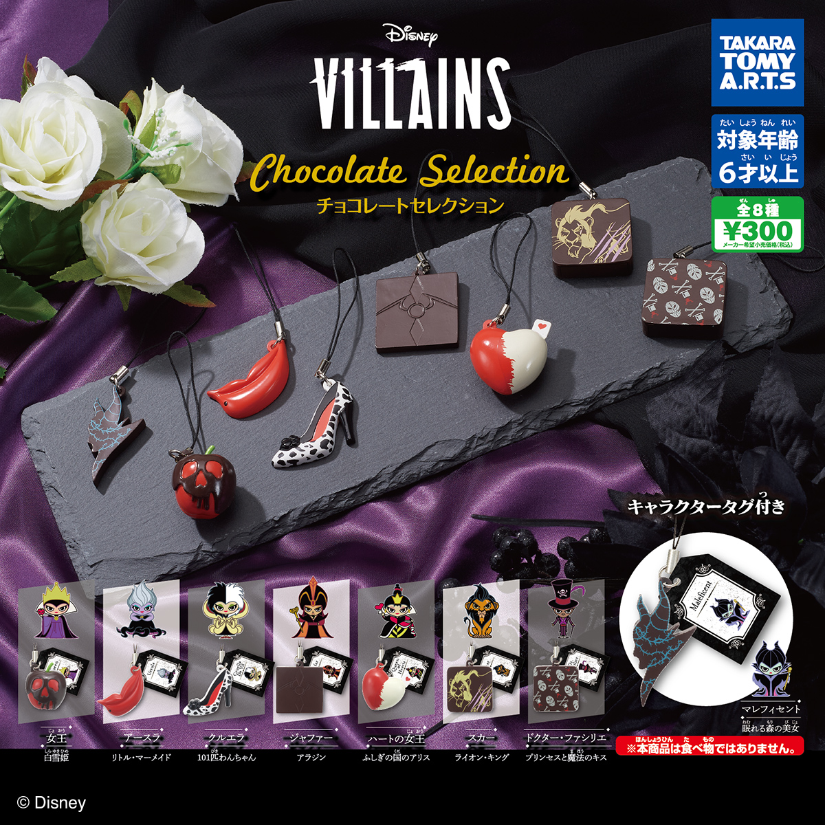 Disney Villains チョコレートセレクション
