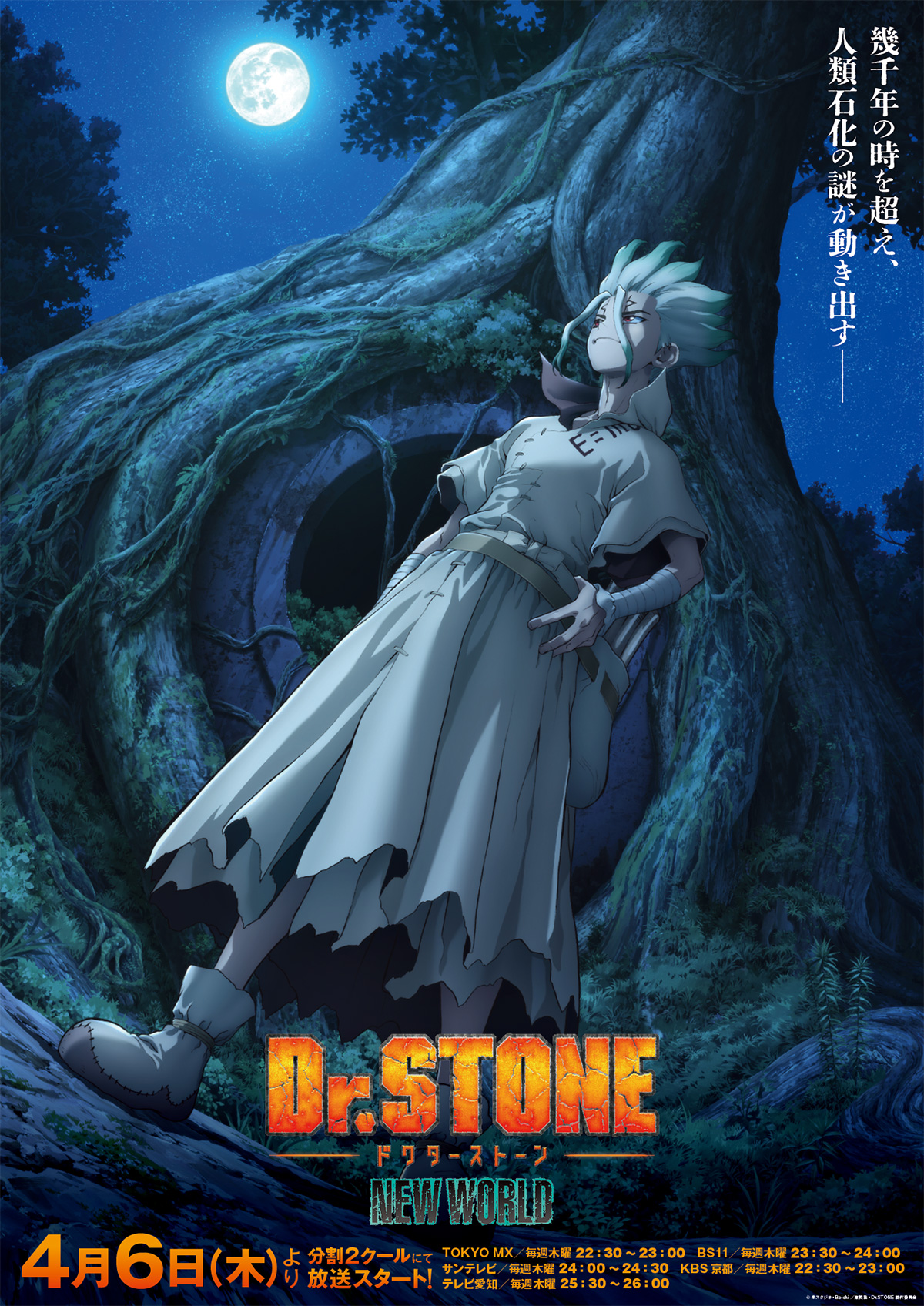 『Dr.STONE NEW WORLD』（第2クール）
