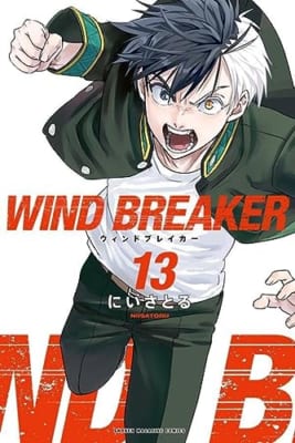 WIND BREAKER(13)