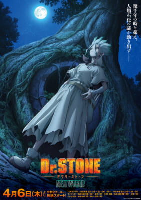 TVアニメ『Dr.STONE NEW WORLD（第2クール）』キービジュアル