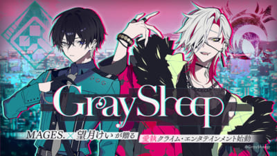 『Gray Sheep』