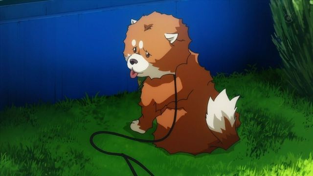 まさかのキャスティング アニメ Dive で梶裕貴さん演じる主人公の愛犬を下野紘さんが演じる にじめん